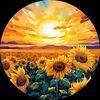 sunrize25